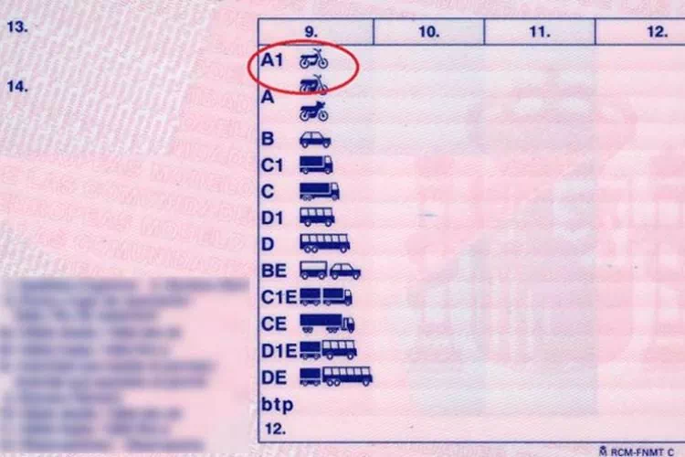 Les différentes catégories de véhicules : pour un véhicule sans permis cela correspond à la catégorie A1