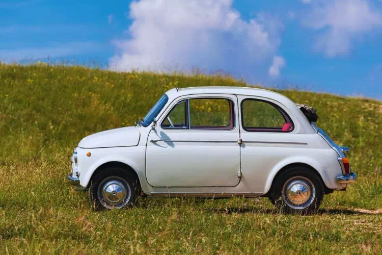 Fiat 500 dans un champ