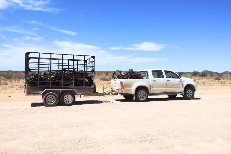 Véhicule pick-up trainant une remorque
